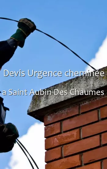 Devis Urgence cheminée a Saint Aubin Des Chaumes