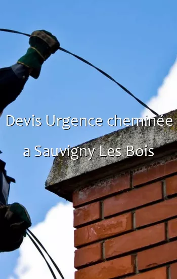 Devis Urgence cheminée a Sauvigny Les Bois
